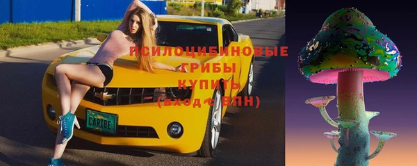 амф Богородицк
