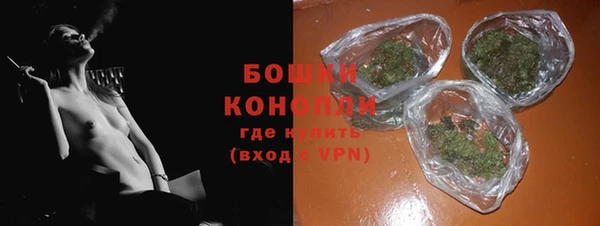 шишки Богданович