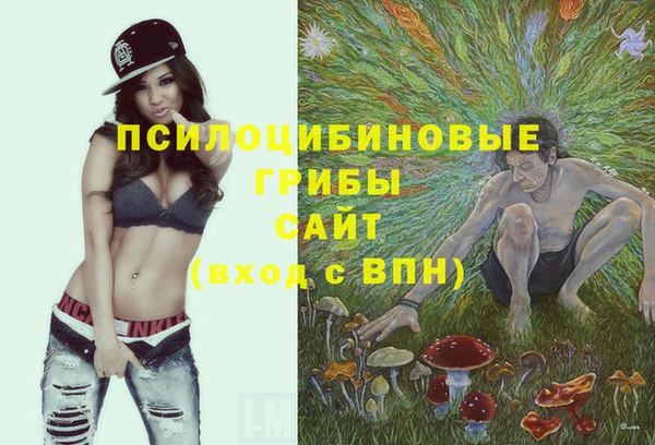 PSILOCYBIN Богородск