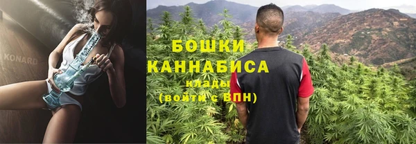 PSILOCYBIN Богородск