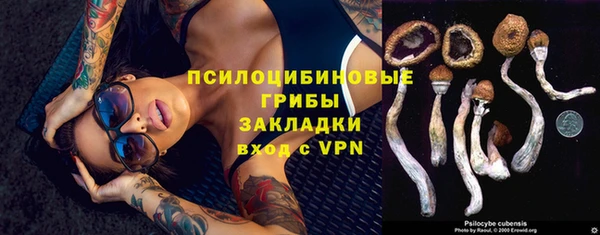 амф Богородицк